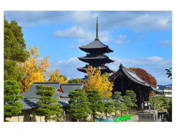 二条城 京都市 中京区