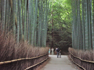 嵐山 京都市 右京区